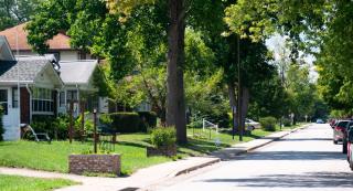 Tree lined Street