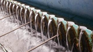 Water flowing as it is processed at Water Plant